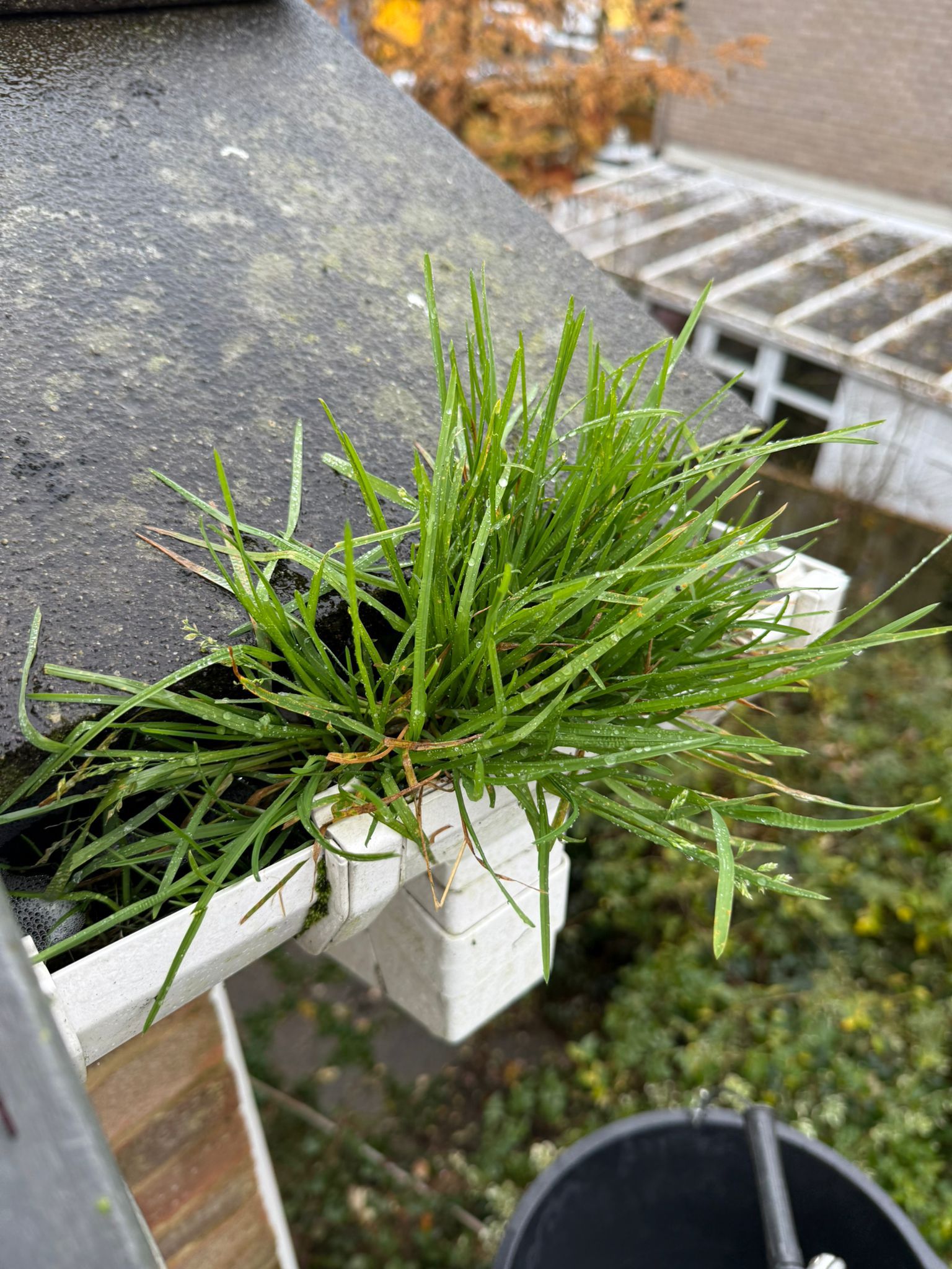 Blocked gutter downpipe in Chalfont St Giles